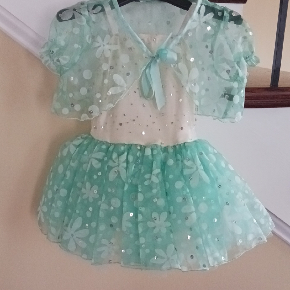 Kids Aqua Fairy Costume
